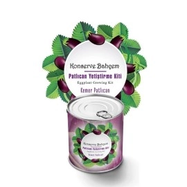 NM Store® Konserve Bahçem Evde Konservede  Kemer PatlıcanYetiştirme Kiti