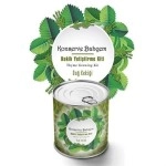 NM Store® Konserve Bahçem Evde Konservede Kekik Dağ Kekiği Yetiştirme Kiti