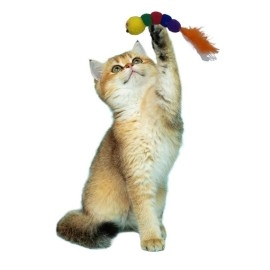 NM Store® Yumuşacık İpli Tırtıl Şeklinde Rengarenk Sevimli Evcil Hayvan Oyuncağı