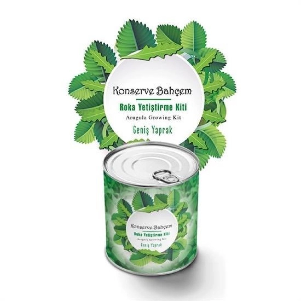 NM Store® Konserve Bahçem Evde Konservede İri Yapraklı Roka Yetiştirme Kiti