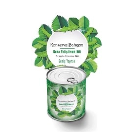 NM Store® Konserve Bahçem Evde Konservede İri Yapraklı Roka Yetiştirme Kiti