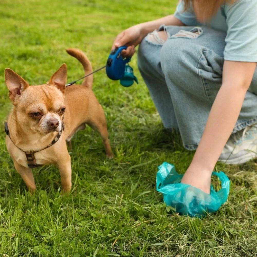 NM Store® 10 Adet Evcil Hayvan Kullan At Kaka Poşeti