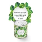 NM Store® Konserve Bahçem Evde Konservede İri Yapraklı Kıvırcık Yetiştirme Kiti