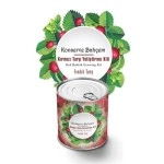 NM Store® Konserve Bahçem Evde Konservede Fındık Turp Yetiştirme Kiti