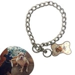 NM Store® 65 cm Uzunlukta Zincir Model Köpek İçin Boyun Tasması