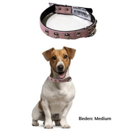 NM Store® Yumuşak Dokulu Deri Köpek Gezdirme Boyun Tasması Medium