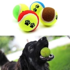 NM Store®  3lü Renkli Desenli Tenis Topu Kedi Köpek Oyuncağı