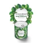 NM Store® Konserve Bahçem Evde Konservede Dereotu Yetiştirme Kiti Aparatı