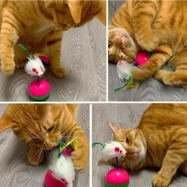 NM Store® Kedi Oyun Topu Tüylü Fareli Hacı Yatmaz Eğitici Yavru Kedi Fare Kovalama Oyuncağı
