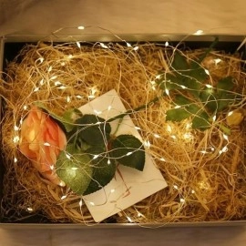 NM Store® Yılbaşı ve Özel Konsept Dekorasyon 5 Mt USB Bağlantılı Led Işık