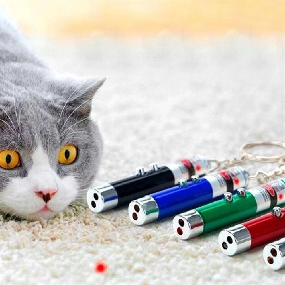 NM Store®  3 Fonksiyonlu Kırmızı Beyaz Işıklı Led Lazer Kedi Köpek Oyuncak Anahtarlık