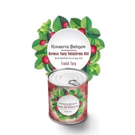 NM Store® Konserve Bahçem Evde Konservede Fındık Turp Yetiştirme Kiti