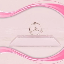 NM Store® Dekoratif Masa Üstü Obje Manyetik Kinetik Orbital Dönen Yunuslar