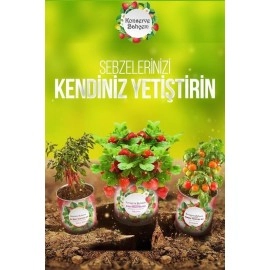 NM Store® Konserve Bahçem Nane Yetiştirme Kiti