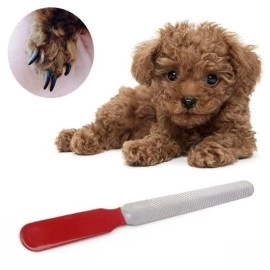 NM Store® Evcil Hayvan Tırnak Makası Ve Törpü Seti Manikür Pedikür Pati Bakım Aleti Kaymaz Sap