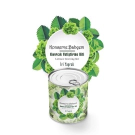 NM Store® Konserve Bahçem Evde Konservede İri Yapraklı Kıvırcık Yetiştirme Kiti