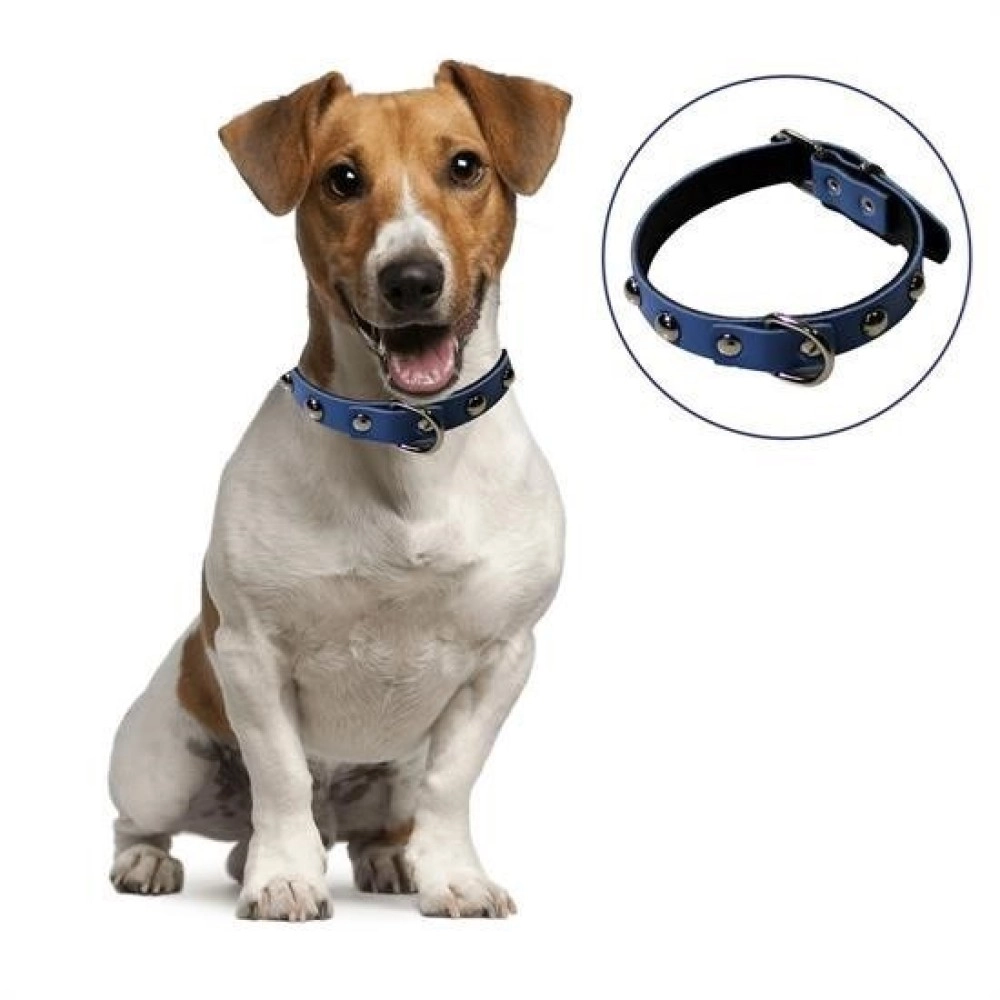 NM Store® Yumuşak Dokulu Deri Köpek Gezdirme Boyun Tasması (Large)