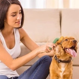 NM Store Plastik Yeşil Evcil Hayvan Bakım  Pet Fırçası Çok Amaçlı Pet Fırçası Yeşil