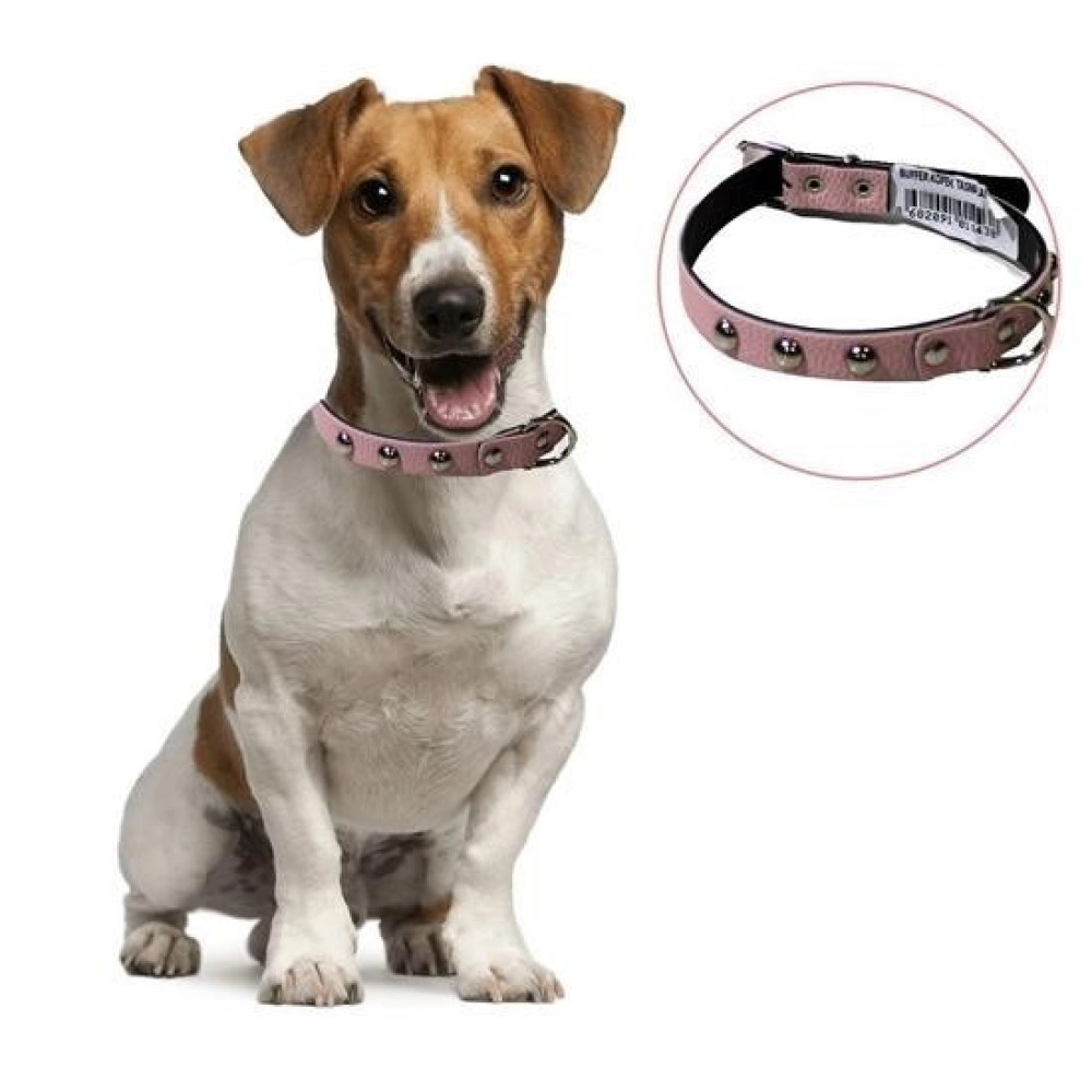 NM Store® Yumuşak Dokulu Deri Köpek Gezdirme Boyun Tasması Medium