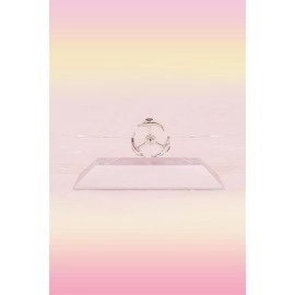 NM Store® Dekoratif Masa Üstü Obje Manyetik Kinetik Orbital Dönen Yunuslar