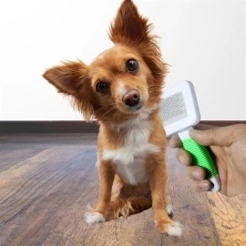 NM Store® Kedi Köpek Telli Küçük Boy Tüy Bakım Seti Evcil Hayvan Tarama Fırçası